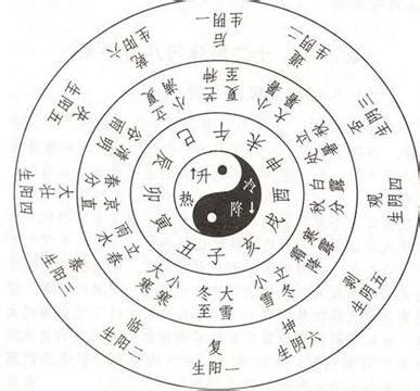 戊寅五行|戊寅年是什么意思 戊寅年五行属什么